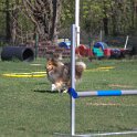 IMG 1155