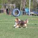 IMG 1156